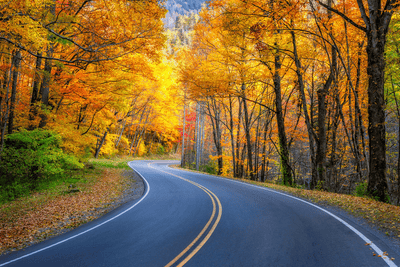 newfound gap road during fall