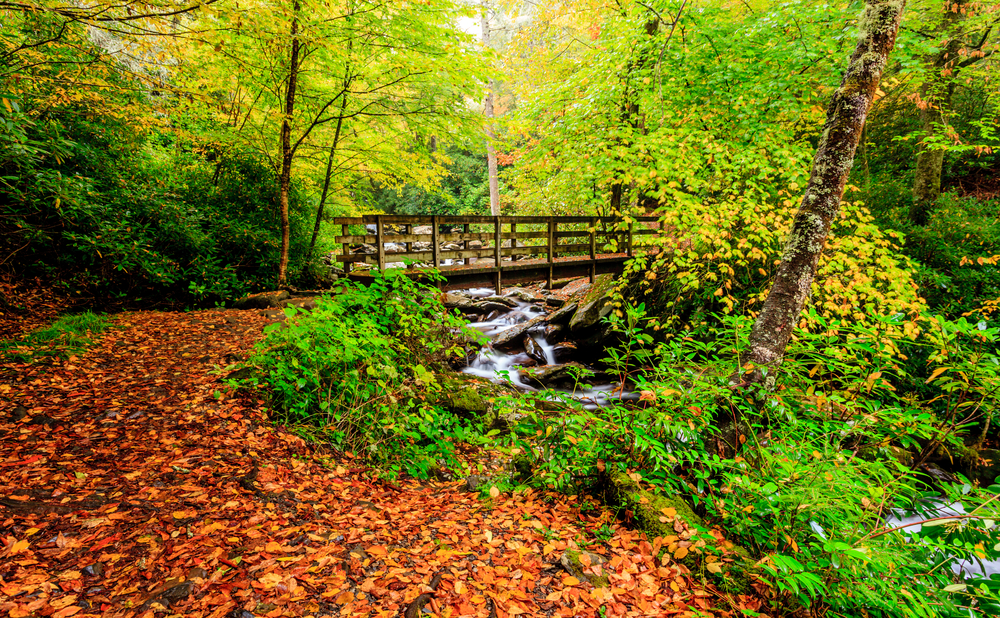 fall hike in the Smoky Mountains