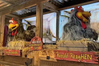 animatronic chickens at Frizzle Chicken Cafe