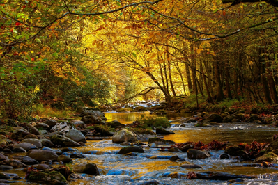 stream in Pigeon Forge during the fall