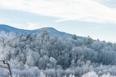 snowy mountains in Pigeon Forge