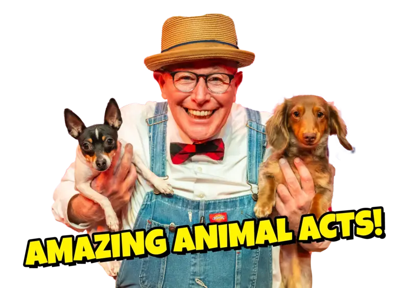 animals